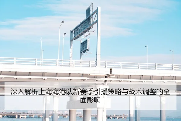 深入解析上海海港队新赛季引援策略与战术调整的全面影响