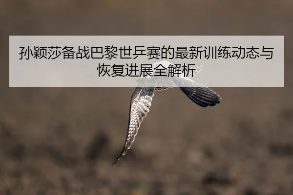 孙颖莎备战巴黎世乒赛的最新训练动态与恢复进展全解析